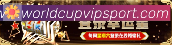 体育数据展示
